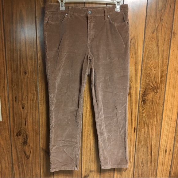 bandolino corduroy pants